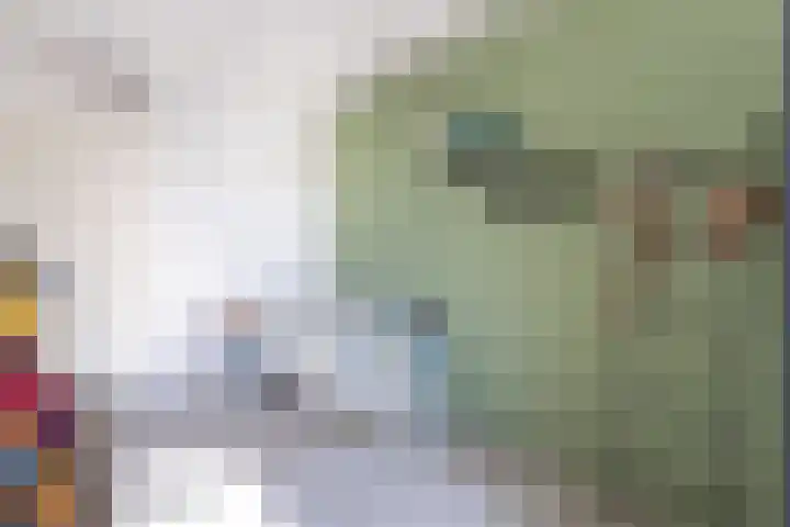 Karmozijnbes 6 Rotterdam thumbnail 34