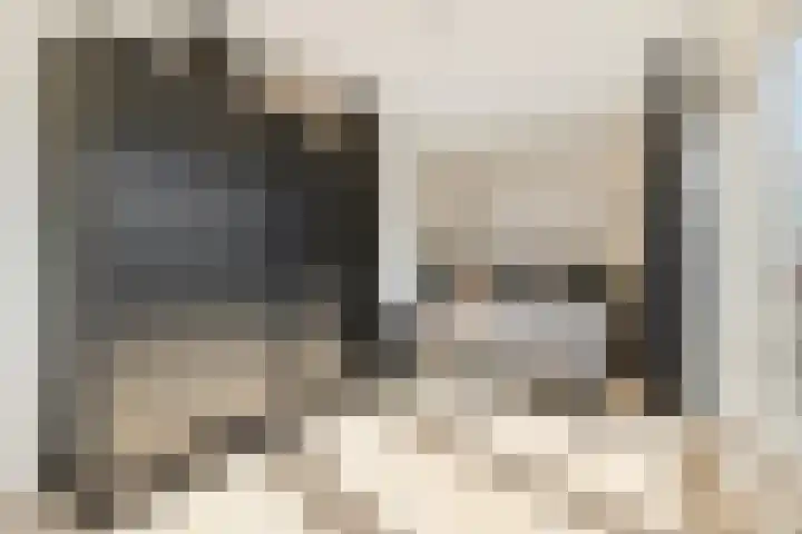 Karmozijnbes 6 Rotterdam thumbnail 39