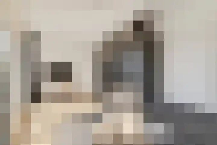 Karmozijnbes 6 Rotterdam thumbnail 41