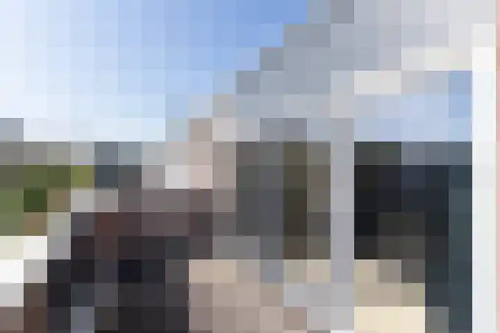 Karmozijnbes 6 Rotterdam thumbnail 43
