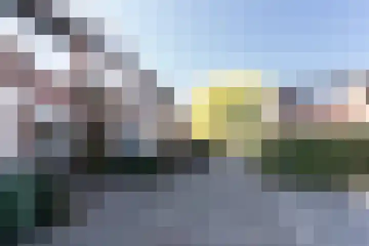 Karmozijnbes 6 Rotterdam thumbnail 47