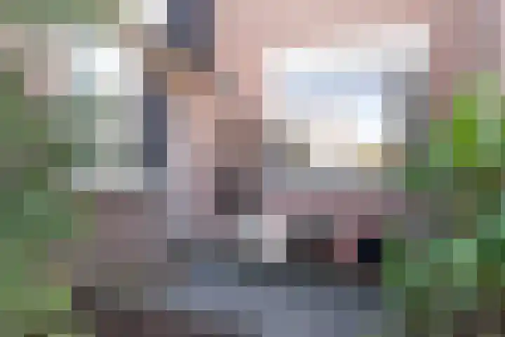 Karmozijnbes 6 Rotterdam thumbnail 5