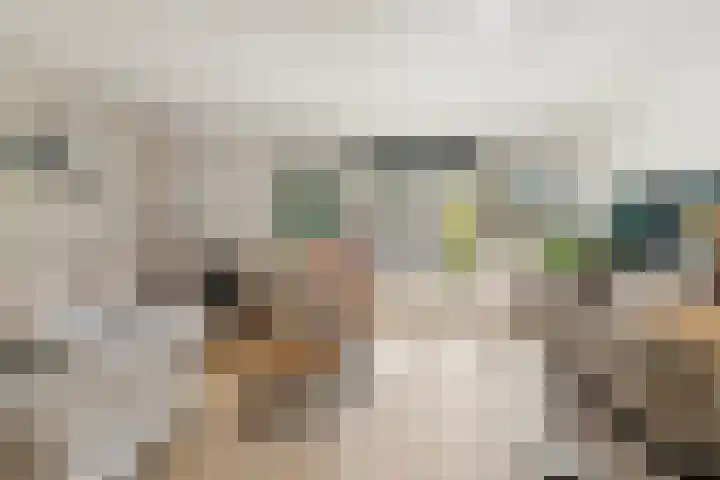 Karmozijnbes 6 Rotterdam thumbnail 7