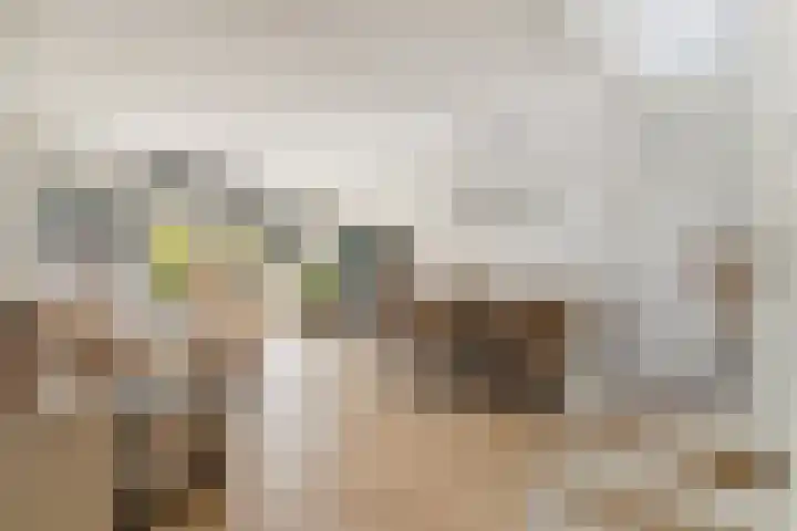 Karmozijnbes 6 Rotterdam thumbnail 8
