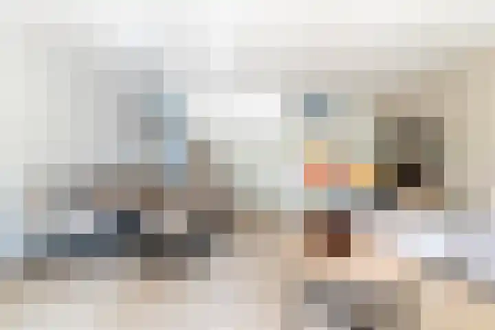 Karmozijnbes 6 Rotterdam thumbnail 9