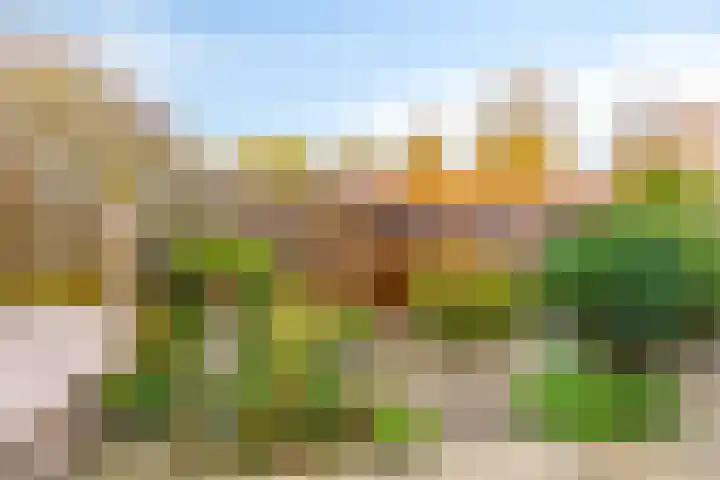Karmozijnhof 2 Almere thumbnail 40