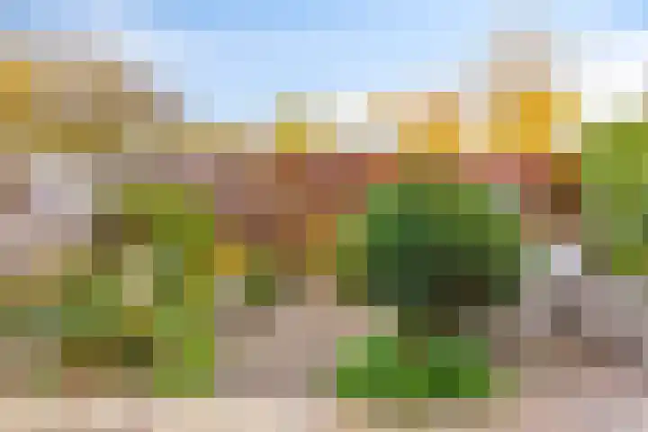 Karmozijnhof 2 Almere thumbnail 41
