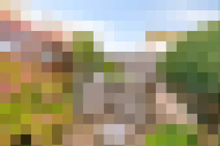 Karmozijnhof 2 Almere thumbnail 43