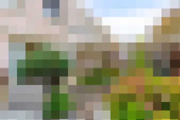 Karmozijnhof 2 Almere thumbnail 46