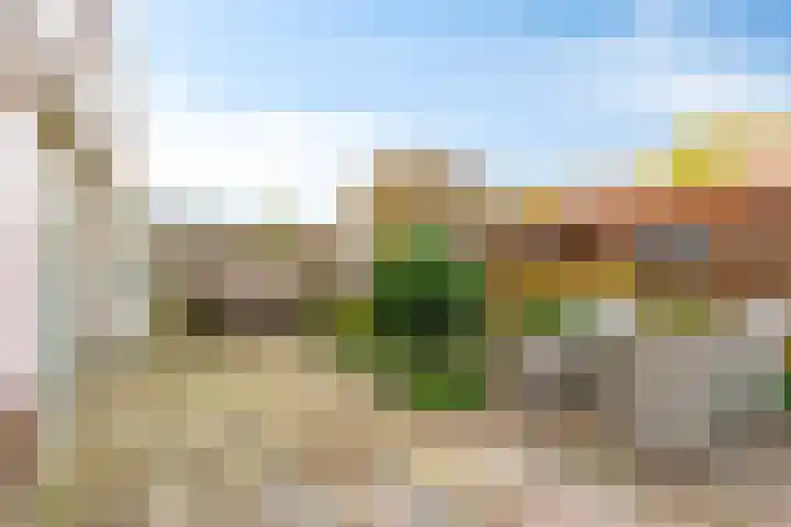Karmozijnhof 2 Almere thumbnail 47