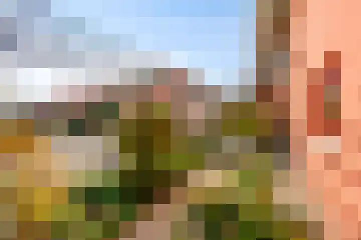 Karmozijnhof 2 Almere thumbnail 51