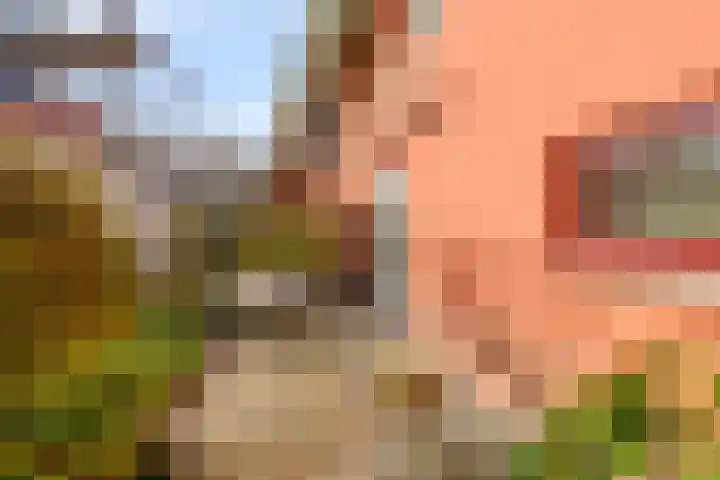 Karmozijnhof 2 Almere thumbnail 52
