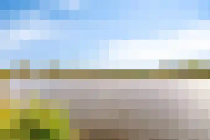 Karmozijnhof 2 Almere thumbnail 61