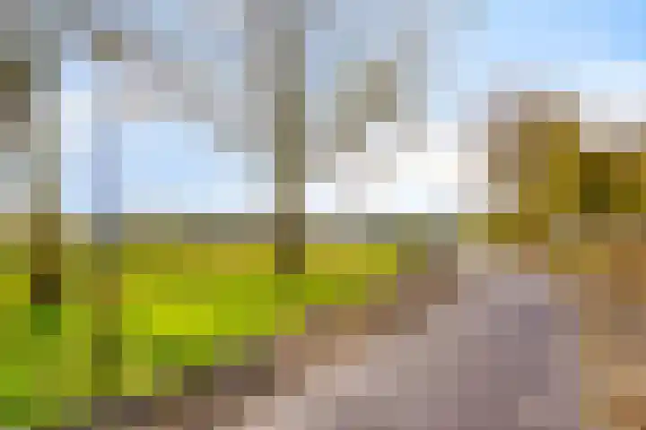 Karmozijnhof 2 Almere thumbnail 62