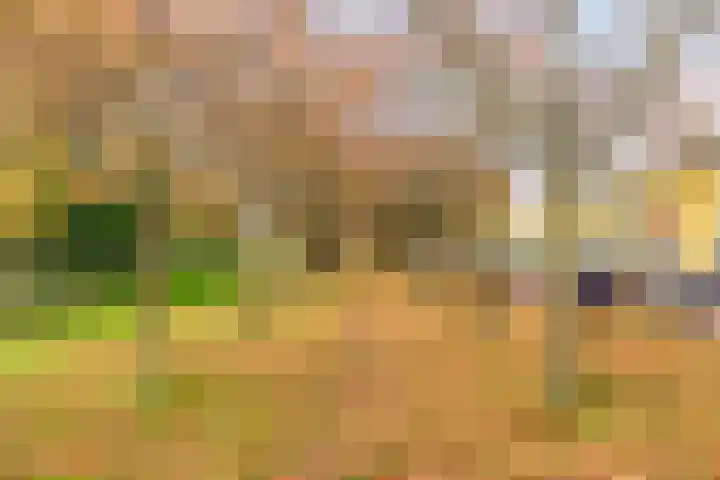 Karmozijnhof 2 Almere thumbnail 63