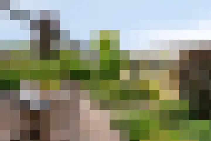 Karmozijnhof 20 Almere thumbnail 12
