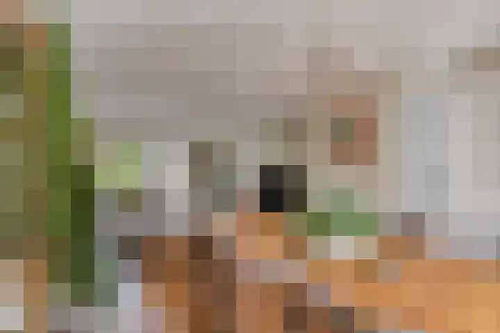 Karmozijnhof 20 Almere thumbnail 14
