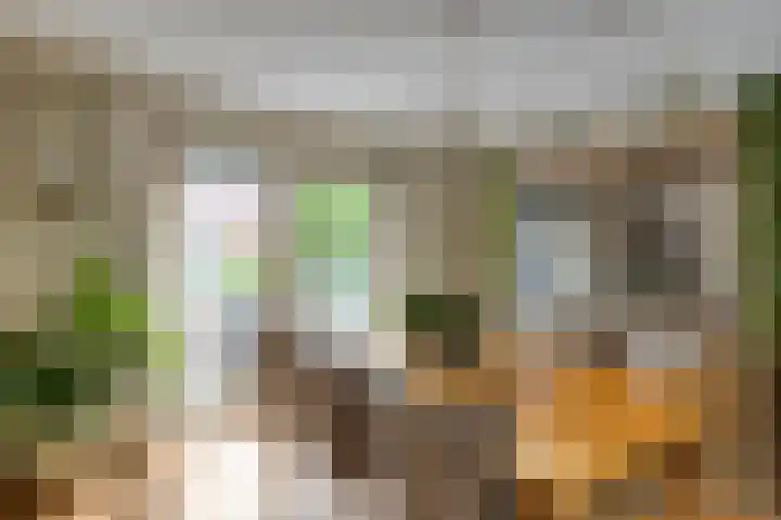 Karmozijnhof 20 Almere thumbnail 15