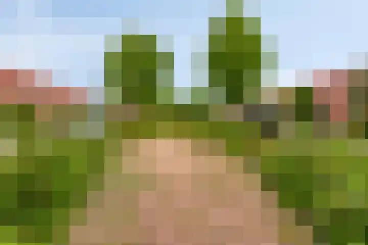 Karmozijnhof 20 Almere thumbnail 31