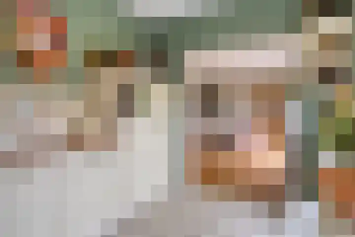 Karmozijnhof 20 Almere thumbnail 8
