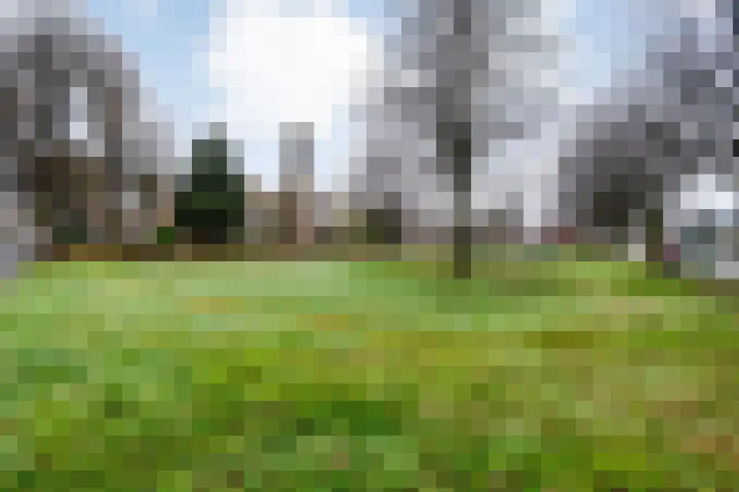 Karn 58 Monnickendam