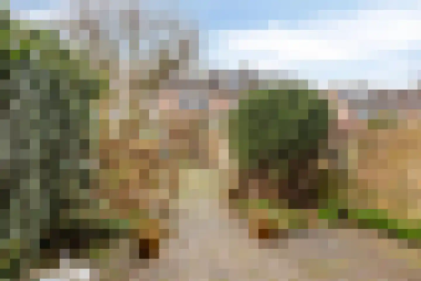 Karn 58 Monnickendam thumbnail 27