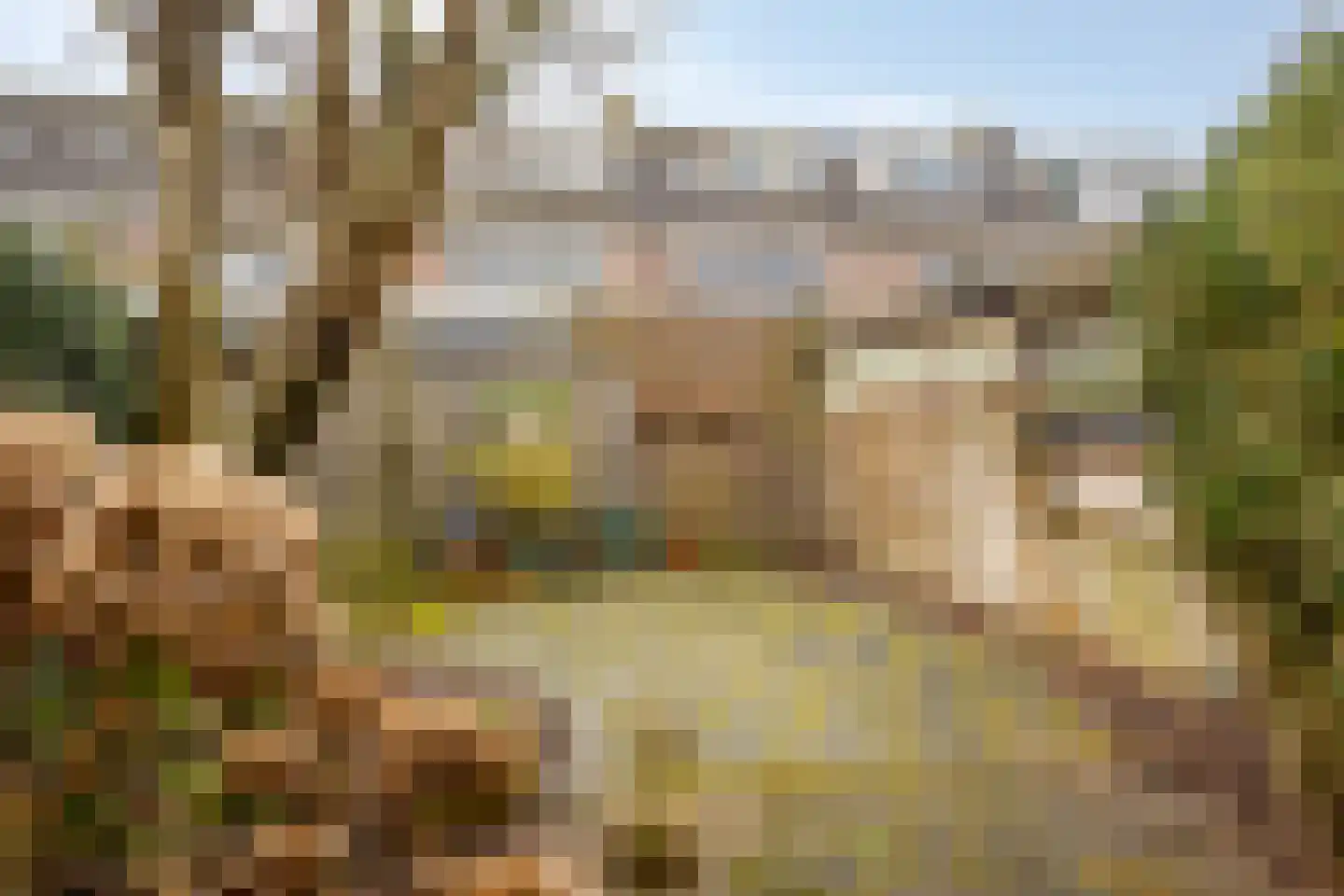 Karn 58 Monnickendam thumbnail 28