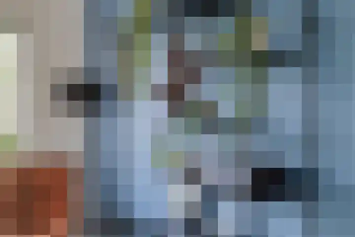 Karnakkers 10 Oosterwolde thumbnail 18