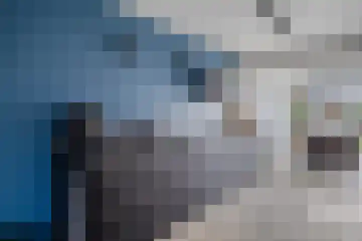 Karnakkers 10 Oosterwolde thumbnail 20