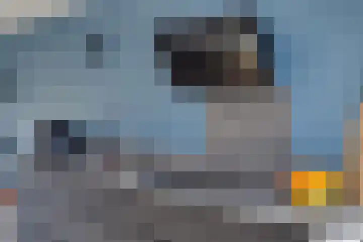 Karnakkers 10 Oosterwolde thumbnail 21