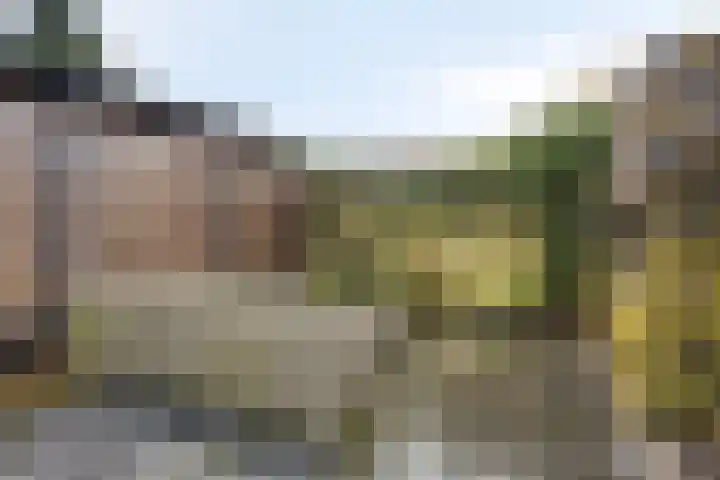 Karnakkers 10 Oosterwolde thumbnail 48
