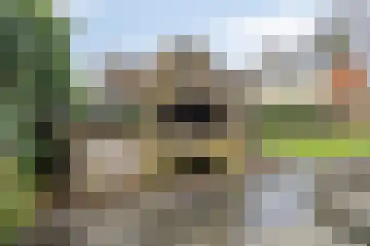 Karnakkers 10 Oosterwolde thumbnail 49
