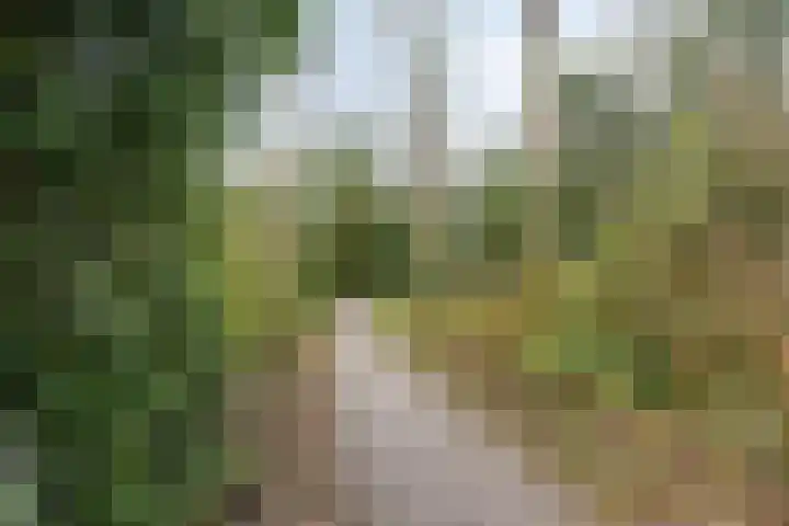 Karnakkers 10 Oosterwolde thumbnail 52