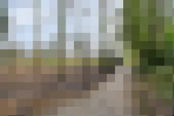 Karnakkers 10 Oosterwolde thumbnail 53