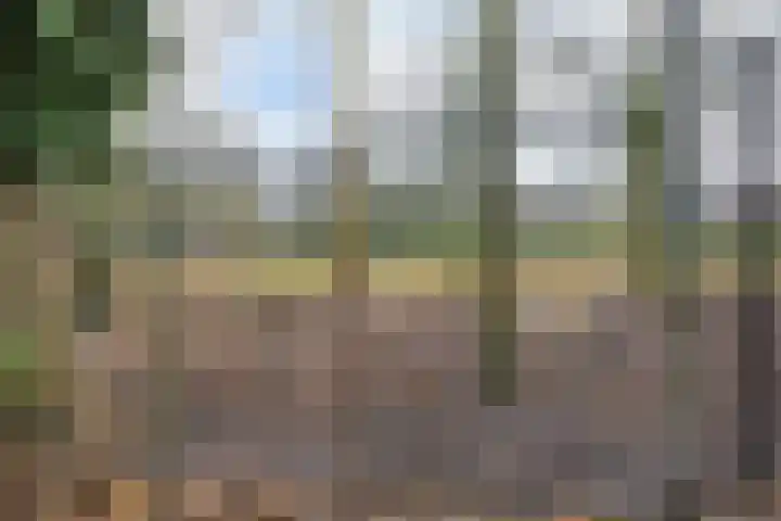 Karnakkers 10 Oosterwolde thumbnail 54