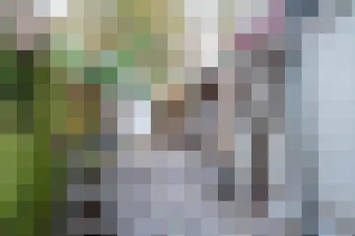 Karnemelksloot 107 Gouda thumbnail 16