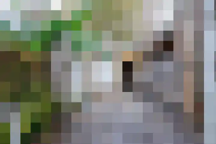 Karnemelksloot 107 Gouda thumbnail 17