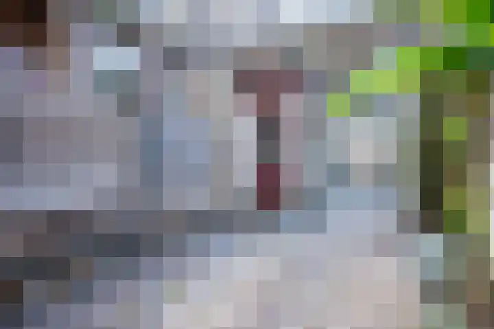 Karnemelksloot 107 Gouda thumbnail 19