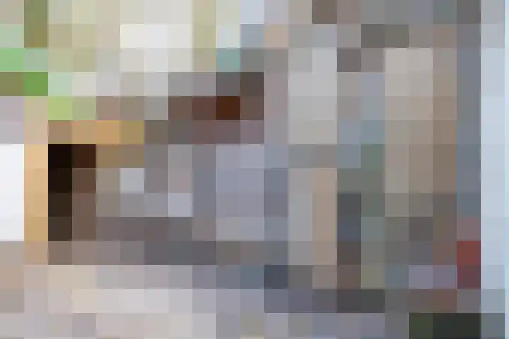 Karnemelksloot 107 Gouda thumbnail 20