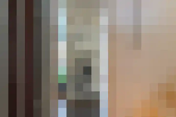 Karnemelksloot 107 Gouda thumbnail 23