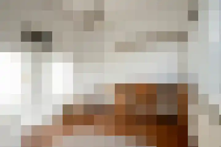 Karnemelksloot 107 Gouda thumbnail 30
