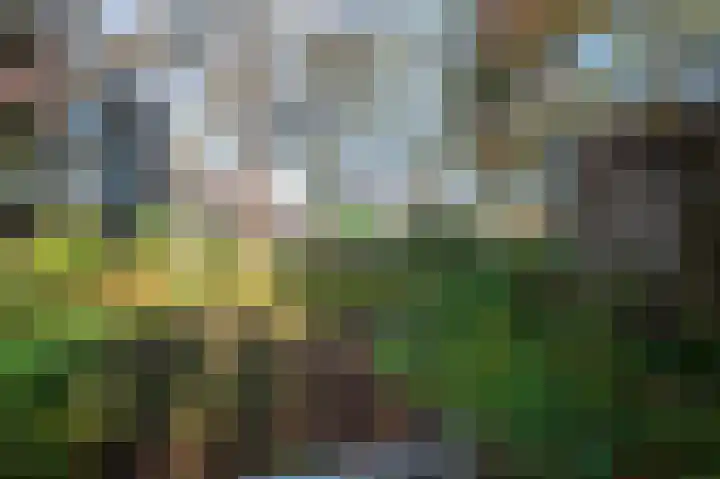 Karnemelksloot 107 Gouda thumbnail 44