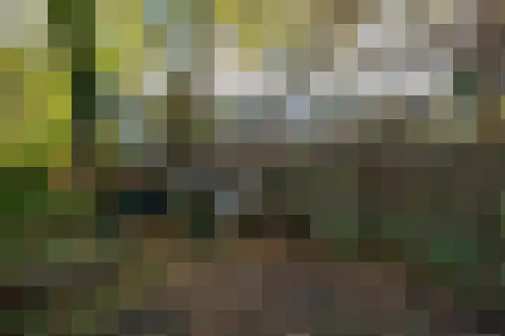 Karnemelksloot 107 Gouda thumbnail 45