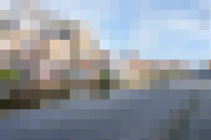 Karnemelksloot 107 Gouda thumbnail 5