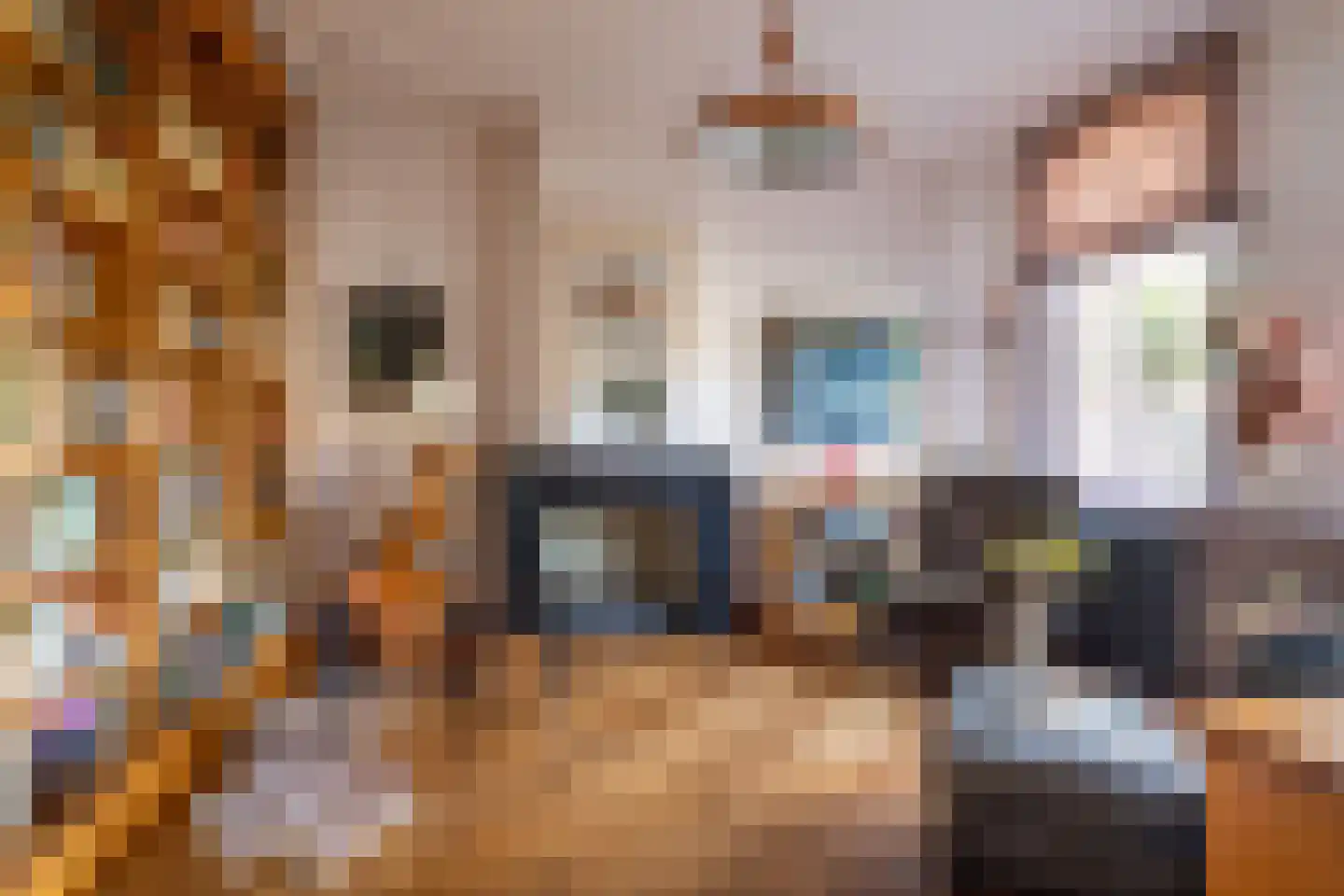 Karnemelksloot 108 Gouda thumbnail 20