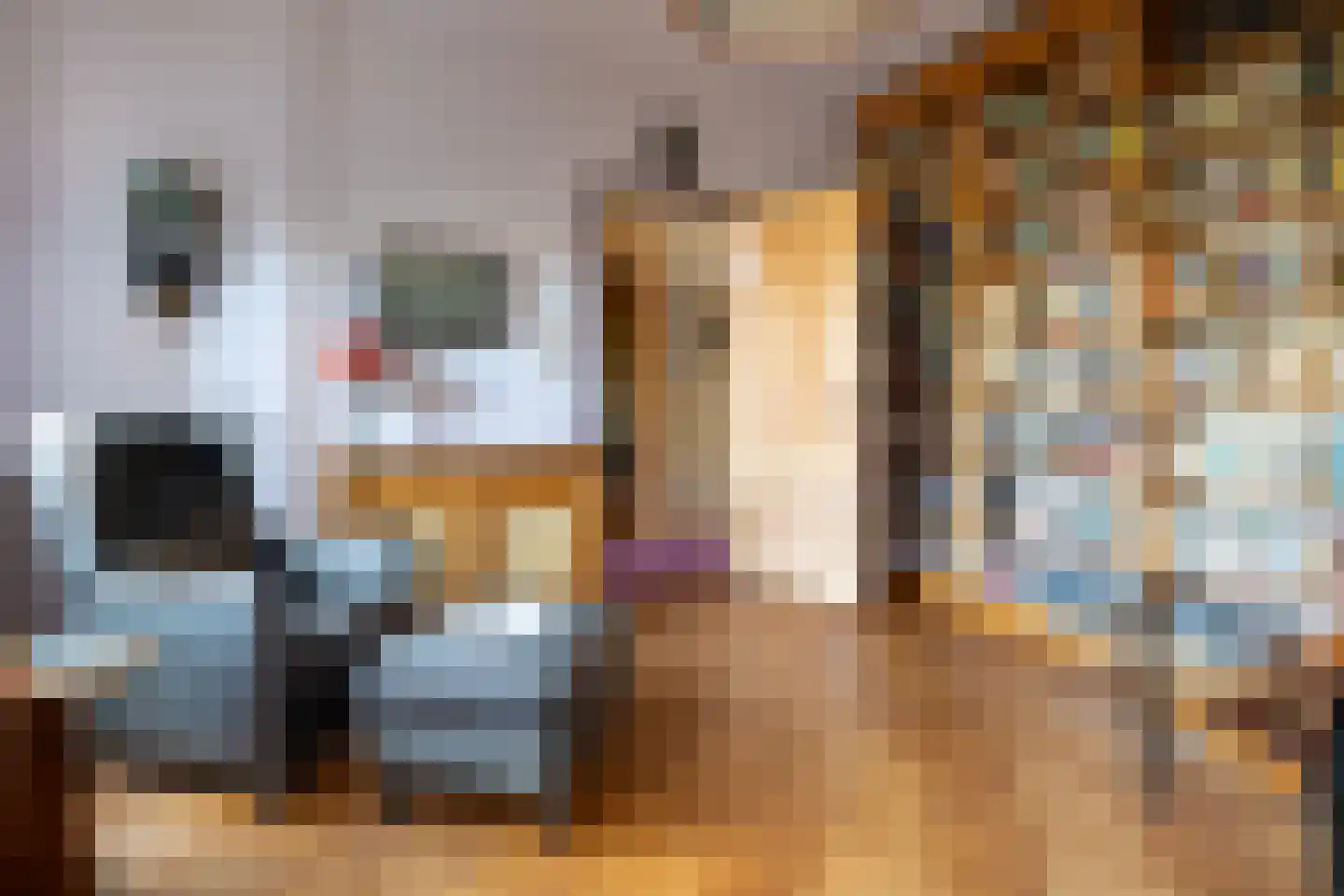 Karnemelksloot 108 Gouda thumbnail 22