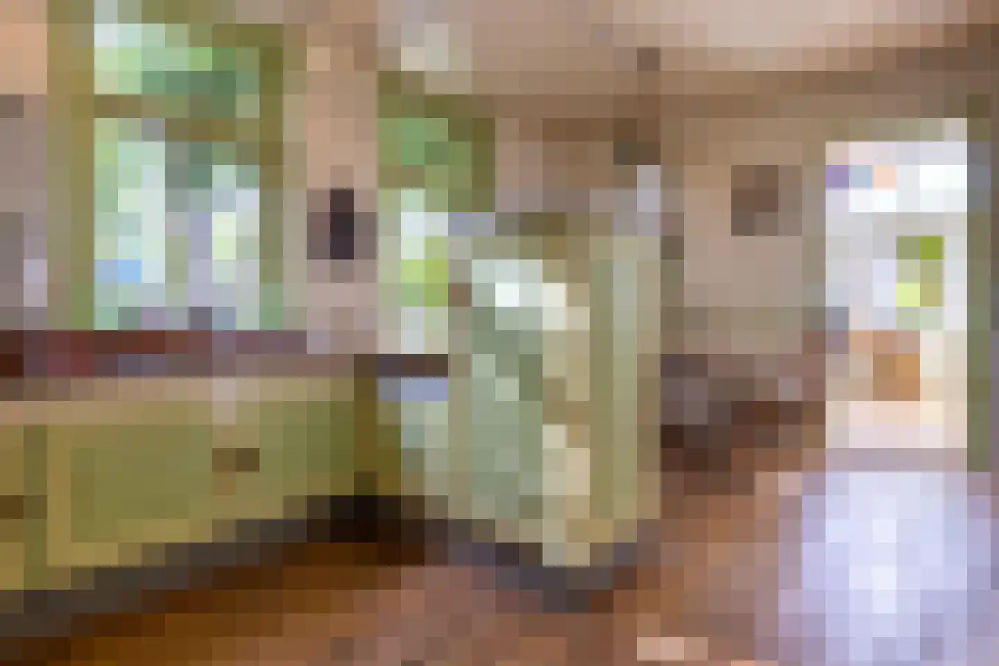 Karnemelksloot 108 Gouda thumbnail 28