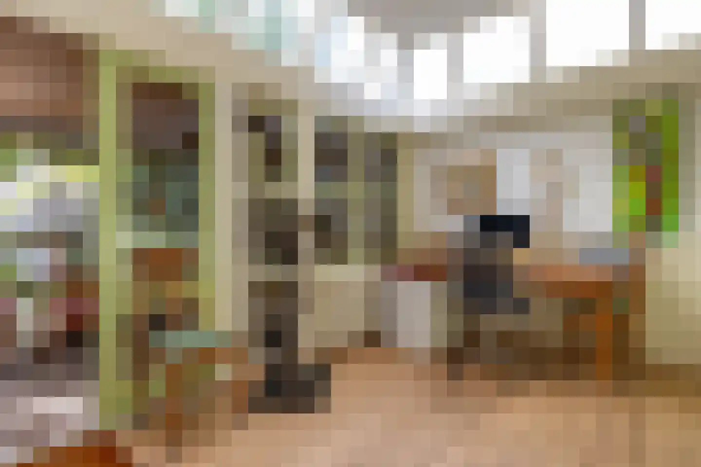 Karnemelksloot 108 Gouda thumbnail 33