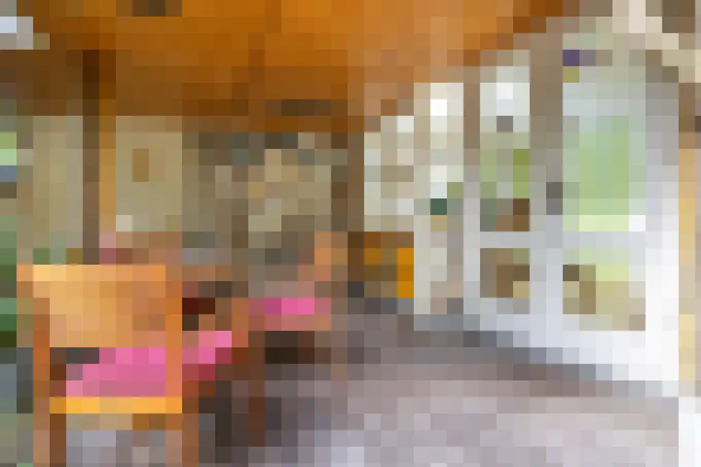 Karnemelksloot 108 Gouda thumbnail 36