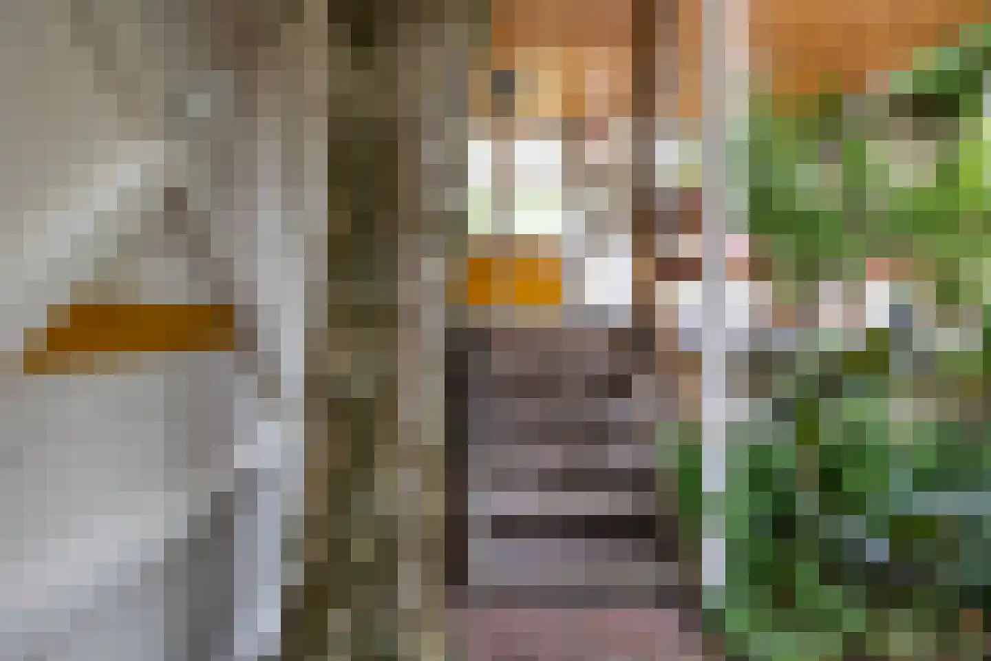 Karnemelksloot 108 Gouda thumbnail 39